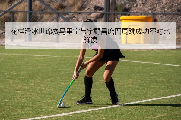 hua-yang-hua-bing-shi-jin-sai-ma-li-ning-yu-yu-ye-chang-mo-si-zhou-tiao-cheng-gong-lv-dui-bi-jie-du-2-938.jpg